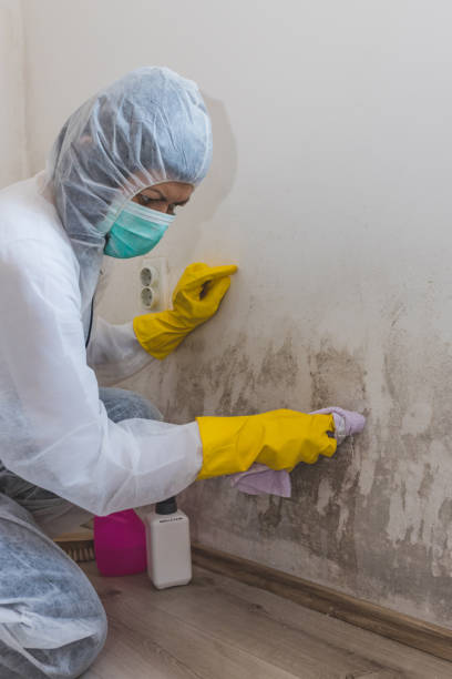 Best Mold Remediation for Healthcare Facilities  in Medford Lakes, NJ