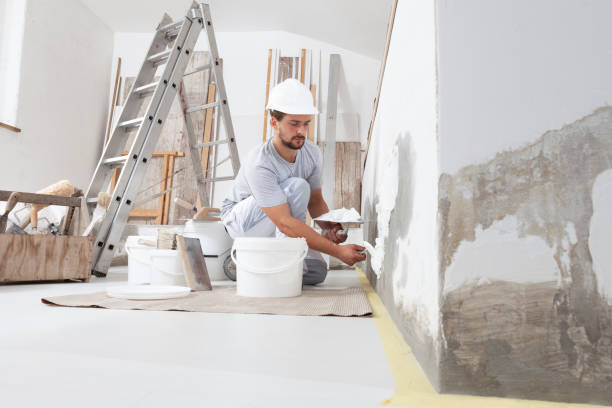 Best Attic Mold Removal  in Medford Lakes, NJ