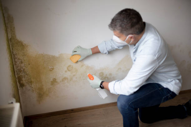 Best Asbestos and Lead Testing During Mold Inspection  in Medford Lakes, NJ