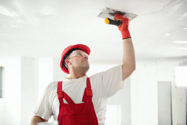 Best Comprehensive Air Testing for Mold Contaminants  in Medford Lakes, NJ