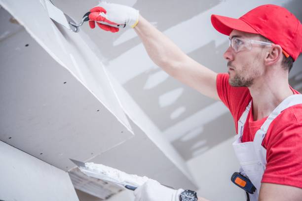Best Emergency Mold Remediation  in Medford Lakes, NJ