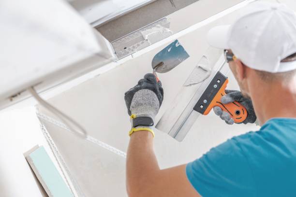 Best Post-Construction Mold Inspection  in Medford Lakes, NJ